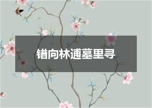 错向林逋墓里寻