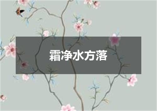 霜净水方落