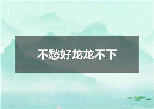 不愁好龙龙不下
