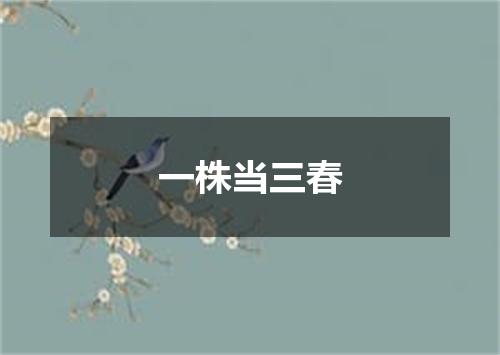 一株当三春