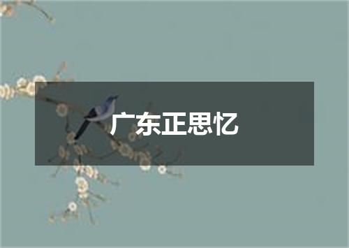 广东正思忆