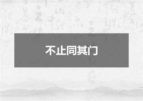 不止同其门