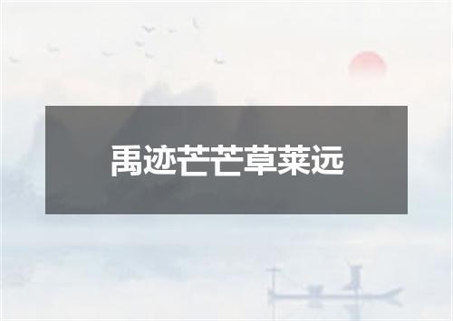 禹迹芒芒草莱远
