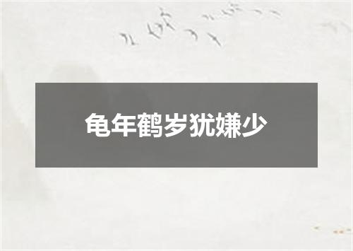 龟年鹤岁犹嫌少