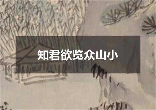 知君欲览众山小
