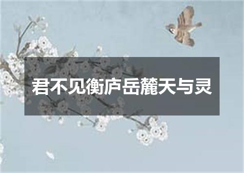 君不见衡庐岳麓天与灵