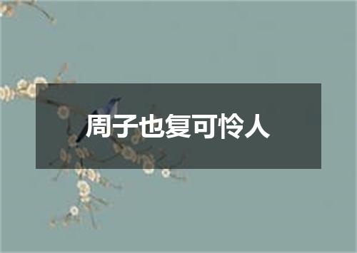 周子也复可怜人