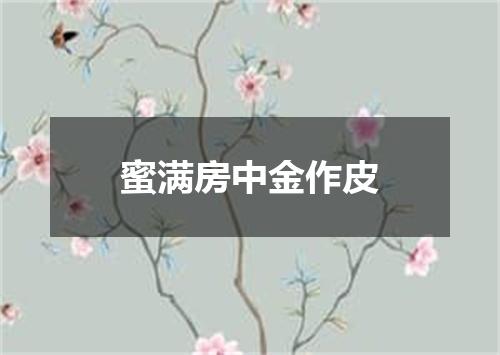 蜜满房中金作皮