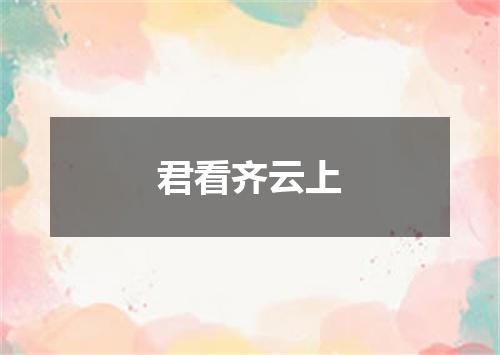 君看齐云上