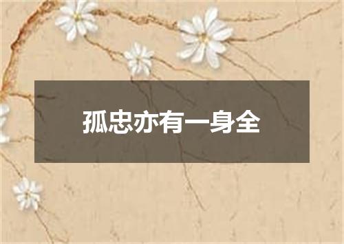 孤忠亦有一身全