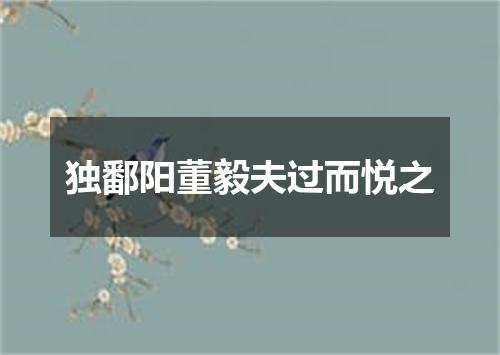 独鄱阳董毅夫过而悦之