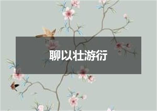 聊以壮游衍