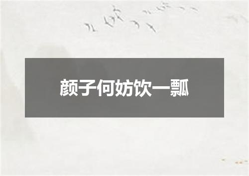 颜子何妨饮一瓢