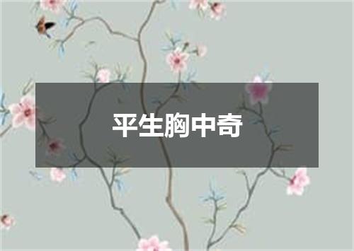 平生胸中奇