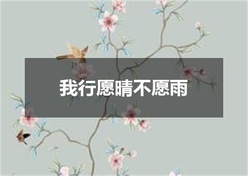 我行愿晴不愿雨