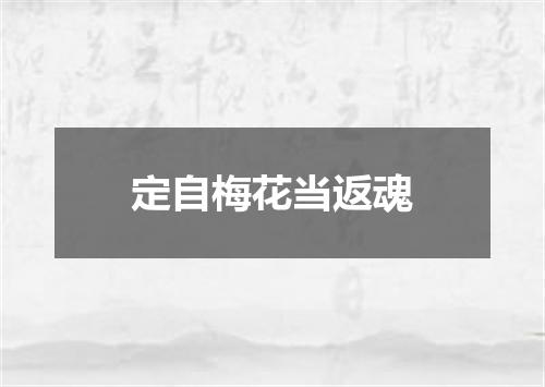 定自梅花当返魂