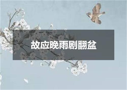 故应晚雨剧翻盆