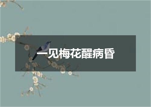 一见梅花醒病昏