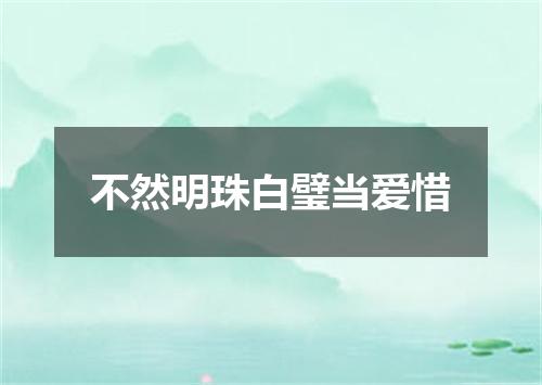 不然明珠白璧当爱惜