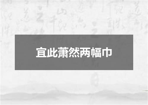 宜此萧然两幅巾