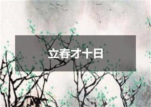 立春才十日