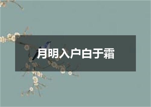 月明入户白于霜