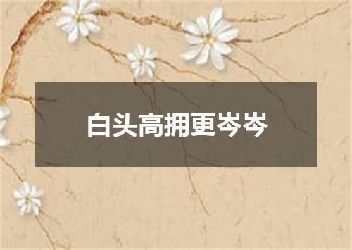 白头高拥更岑岑