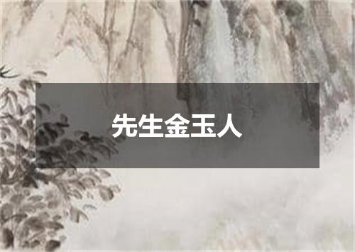 先生金玉人