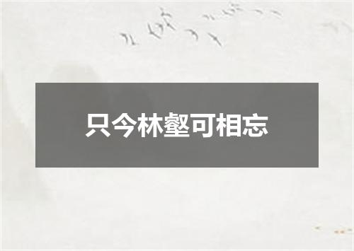 只今林壑可相忘