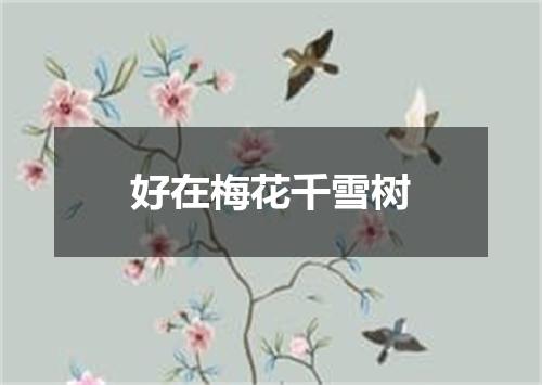 好在梅花千雪树