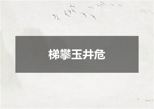 梯攀玉井危