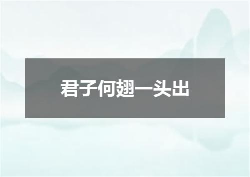 君子何翅一头出