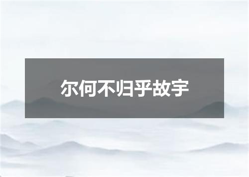 尔何不归乎故宇