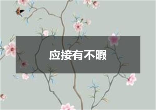 应接有不暇