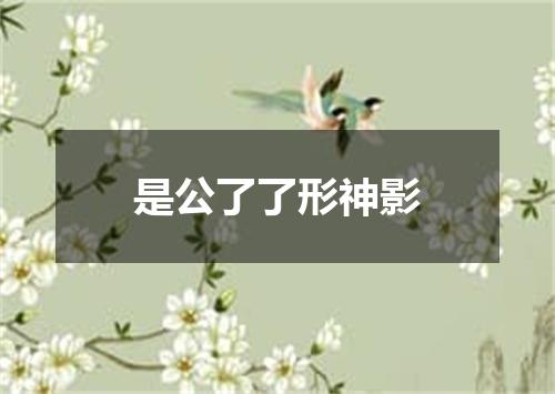 是公了了形神影