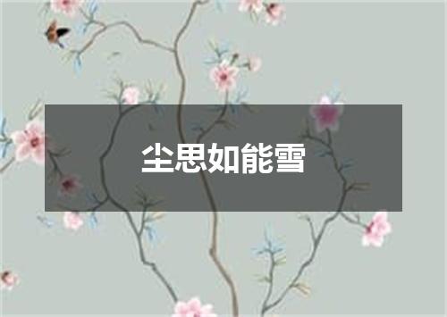 尘思如能雪