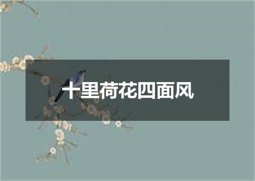 十里荷花四面风