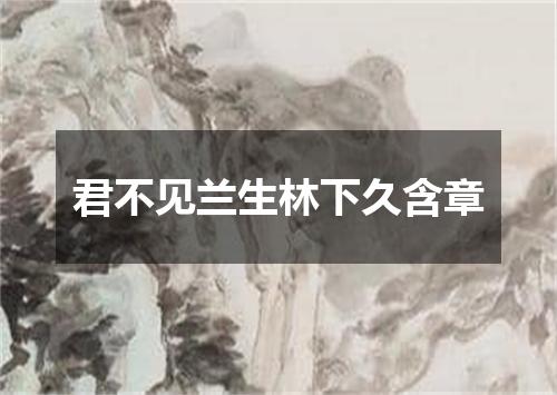 君不见兰生林下久含章