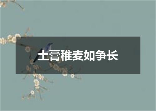 土膏稚麦如争长