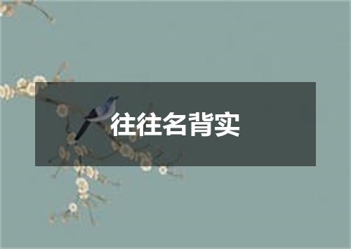 往往名背实