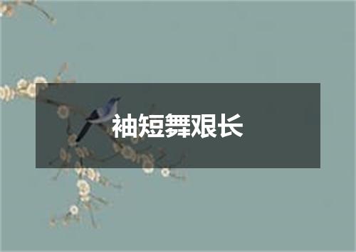袖短舞艰长