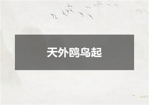 天外鸥鸟起