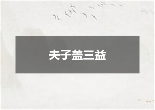 夫子盖三益
