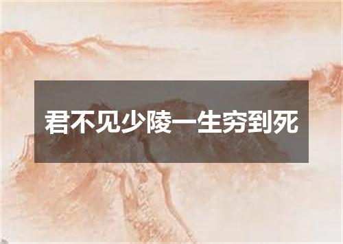 君不见少陵一生穷到死