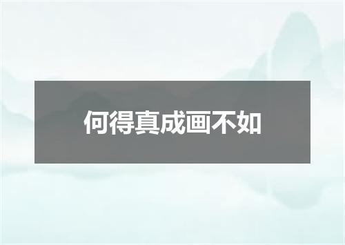 何得真成画不如