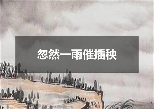 忽然一雨催插秧