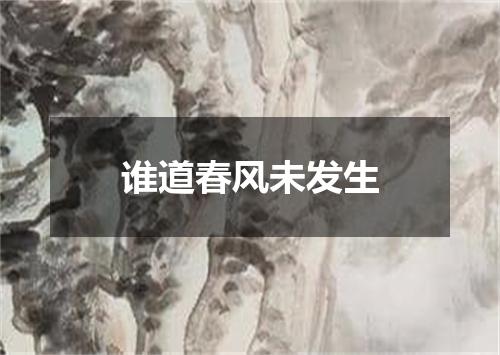 谁道春风未发生