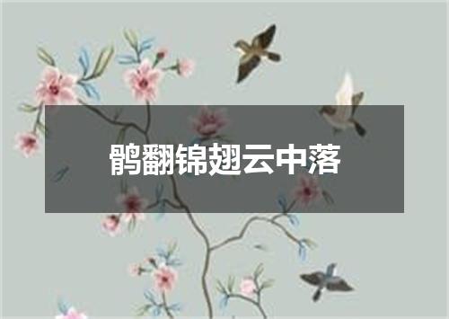 鹘翻锦翅云中落