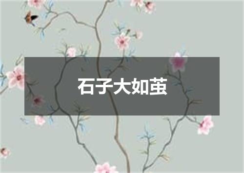 石子大如茧