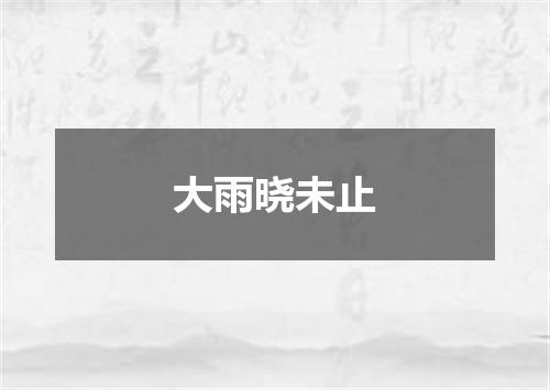 大雨晓未止